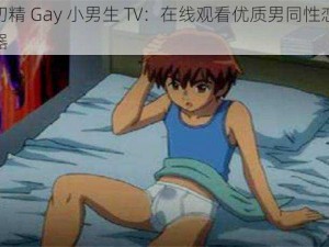 初毛初精 Gay 小男生 TV：在线观看优质男同性恋视频的神器