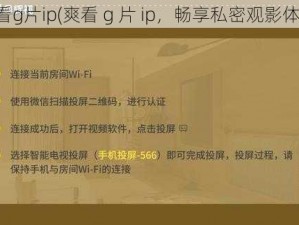 爽看g片ip(爽看 g 片 ip，畅享私密观影体验)