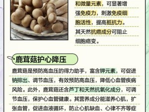 玛娜希斯回响中的菌菇汤类食谱探秘：营养滋补，口感鲜美的菌菇汤制作分享