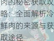 原神游戏中冷鲜肉的秘密获取攻略：全面解析冷鲜肉的来源与获取途径