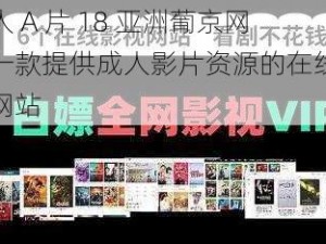 成人 A 片 18 亚洲葡京网：一款提供成人影片资源的在线视频网站