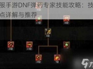 韩服手游DNF弹药专家技能攻略：技能加点详解与推荐