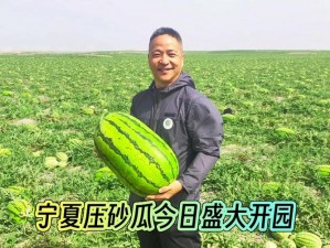 51 热门大瓜今日大瓜最新，提供最新鲜的娱乐资讯