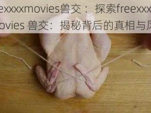 freexxxxmovies兽交 ：探索freexxxxmovies 兽交：揭秘背后的真相与风险