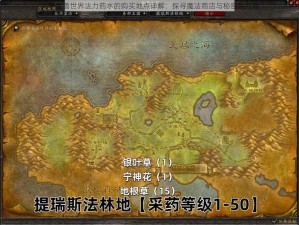 关于魔兽世界法力药水的购买地点详解：探寻魔法商店与秘密供应商