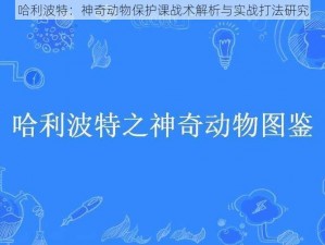 哈利波特：神奇动物保护课战术解析与实战打法研究