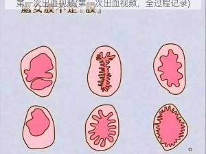 第一次出血视频(第一次出血视频，全过程记录)