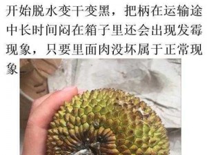 ▇榴莲视频▇无码免费下载,下载榴莲视频无码版：免费获取成人内容的捷径？