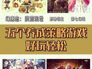 超能战线手游人物伙伴全方位养成技巧详解：策略实践与优化指南