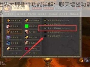 魔兽世界大脚插件功能详解：聊天增强功能为核心概览