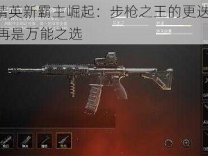 和平精英新霸主崛起：步枪之王的更迭，M416不再是万能之选