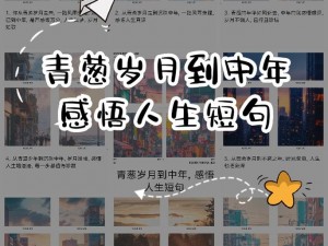 我们从青涩岁月到白发时光：岁月如歌，人生轨迹的旋律之旅