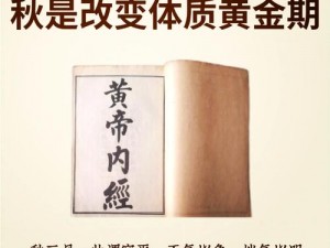 老王与皇后的密谋：皇帝内径书揭秘与第10关攻略全解析