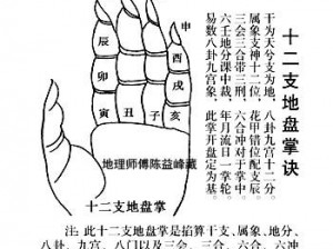 霸道天下灵煞副本攻略大全：实战对战技巧揭秘