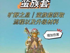 塞尔达传说：旷野之息三把莫力布林枪获取攻略分享：实用方法与技巧解析