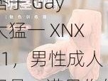 痞子 Gay 大猛一 XNXX1，男性成人用品，满足你的特殊需求