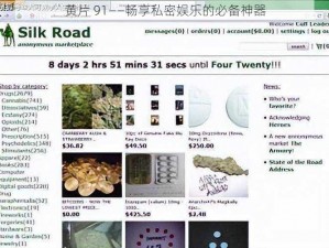 黄片 91——畅享私密娱乐的必备神器