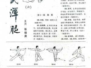 绝世武学：揭秘武林秘籍中的终极技能修炼之道