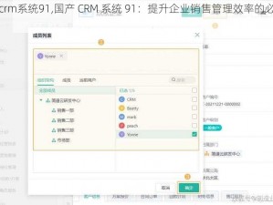 国产crm系统91,国产 CRM 系统 91：提升企业销售管理效率的必备工具