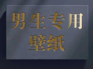 只有废物才需静态桌面？探索对象壁纸抖音时代的深层次启示