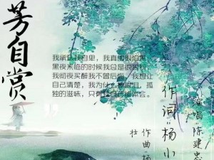 孤芳自赏歌曲背后蕴含的情感与现实的交织诠释一首歌的力量之美