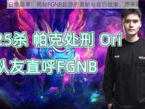 DOTA2日常趣事：揭秘FGNB起源的奥秘与背后故事：原来是这样？