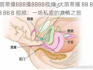 大荫蒂搡BBB搡BBBB视频_大荫蒂搡 BB B 搡 BB BB B 视频：一场私密的激情之旅