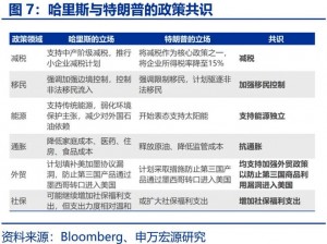 哈里斯在四个关键摇摆州持续领先，形势分析与策略观察