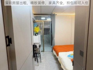 深圳房屋出租，精致装修，家具齐全，拎包即可入住