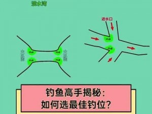 小森生活鳡鱼王钓取位置详解：揭秘最佳垂钓地点及钓鱼技巧