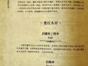 哈利波特魔杖材质之谜：多种珍稀材质揭秘