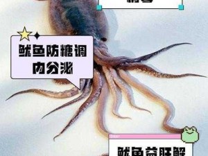 yw5239鱿鱼【如何评价yw5239 鱿鱼？】