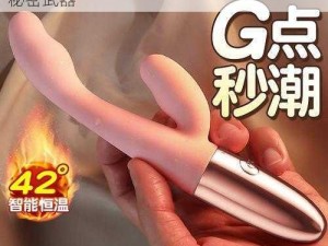 震动棒——让你在公交车上也能获得高 C 的秘密武器