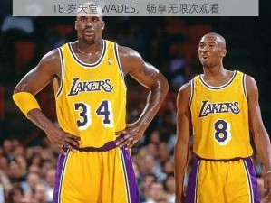 18 岁天堂 WADES，畅享无限次观看