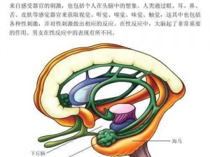 被发现只为棒猛烈抽插-女人被发现正被男人用棒猛烈抽插