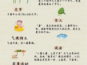 洛克王国小暑节气深度解析：传统习俗与现代体验交融的夏日之旅