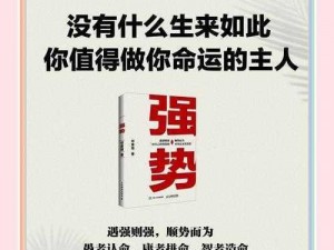 扶危定倾：探寻现实挑战中的稳健步伐与应对策略之道