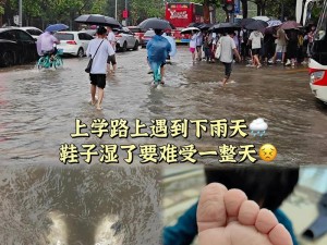 湿了—雨把我的鞋湿了