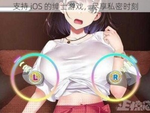 支持 iOS 的绅士游戏，尽享私密时刻