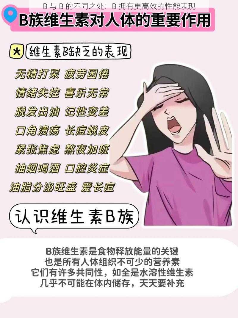 B 与 B 的不同之处：B 拥有更高效的性能表现