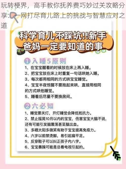 玩转梗界，高手教你抚养费巧妙过关攻略分享：一网打尽育儿路上的挑战与智慧应对之道