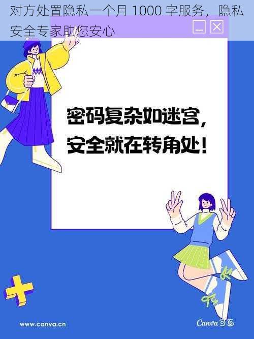 对方处置隐私一个月 1000 字服务，隐私安全专家助您安心