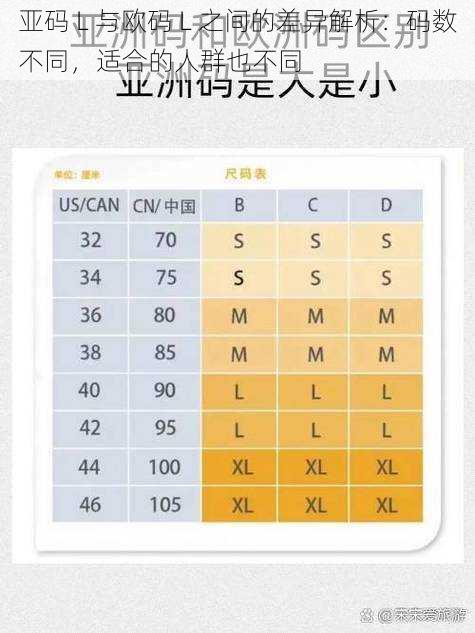 亚码 L 与欧码 L 之间的差异解析：码数不同，适合的人群也不同