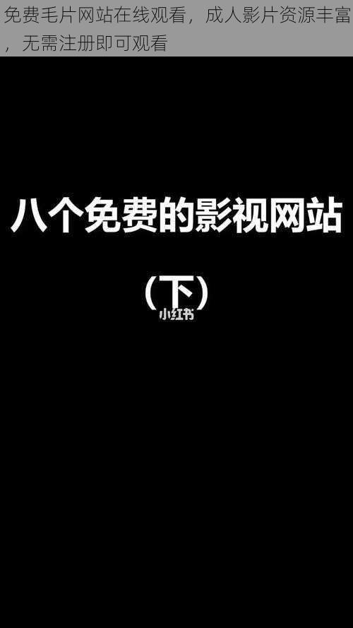 免费毛片网站在线观看，成人影片资源丰富，无需注册即可观看