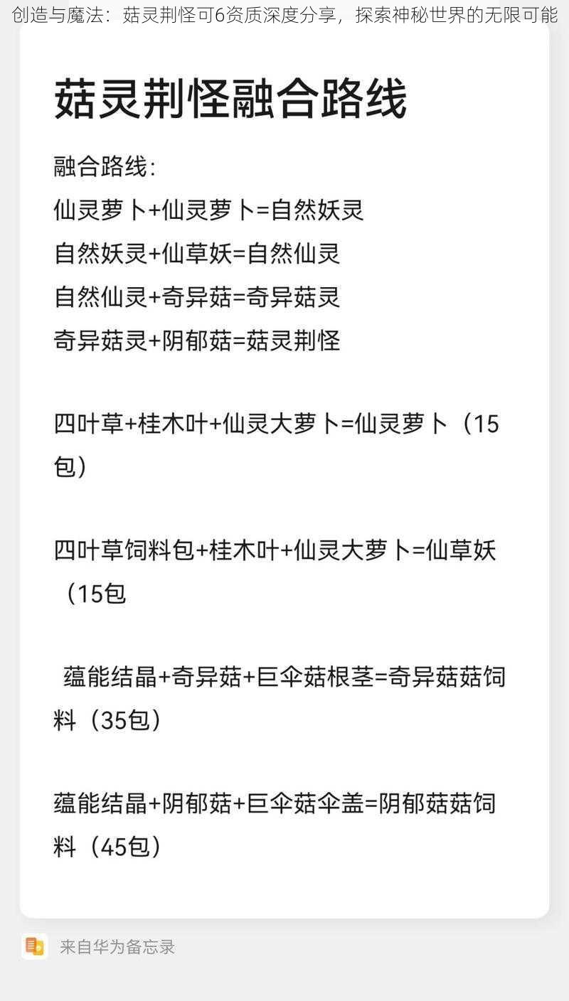 创造与魔法：菇灵荆怪可6资质深度分享，探索神秘世界的无限可能