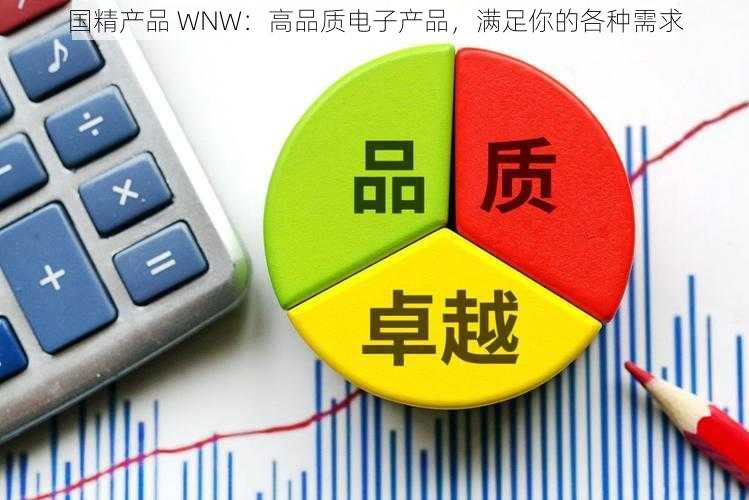 国精产品 WNW：高品质电子产品，满足你的各种需求