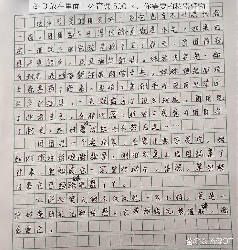 跳 D 放在里面上体育课 500 字，你需要的私密好物