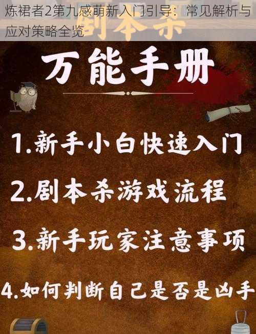 炼裙者2第九感萌新入门引导：常见解析与应对策略全览