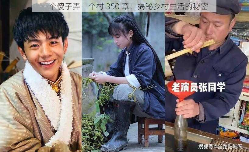 一个傻子弄一个村 350 章：揭秘乡村生活的秘密