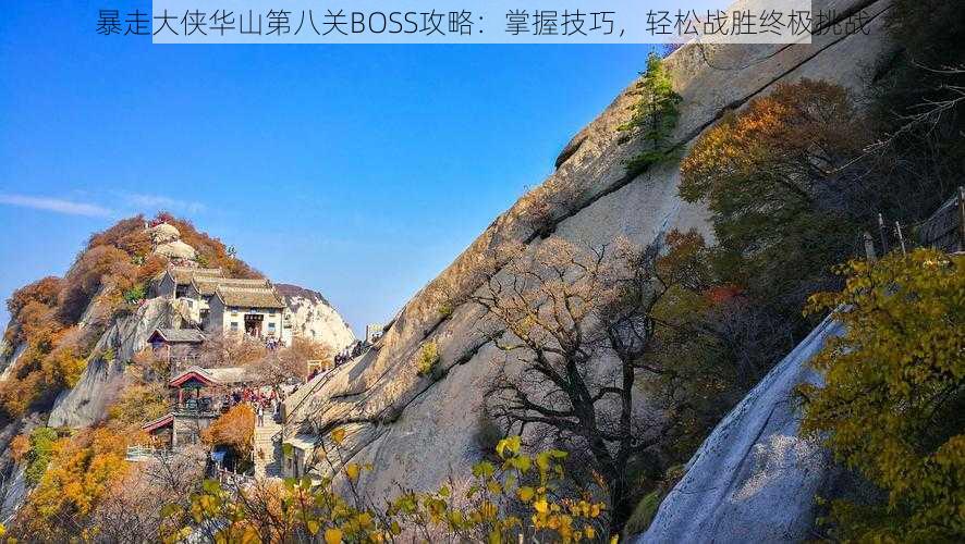 暴走大侠华山第八关BOSS攻略：掌握技巧，轻松战胜终极挑战